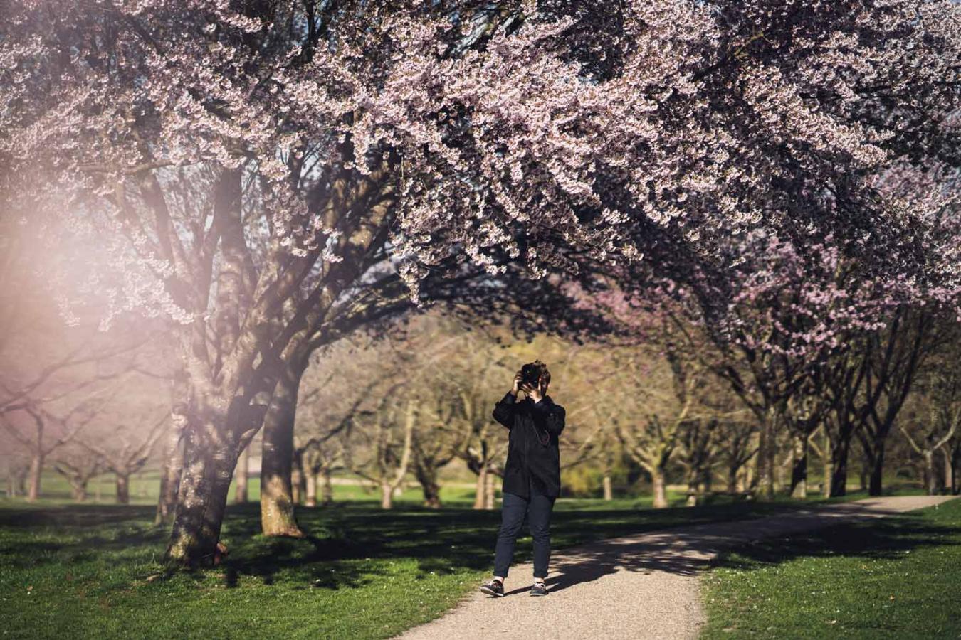 Forår i naturen, Aarhus