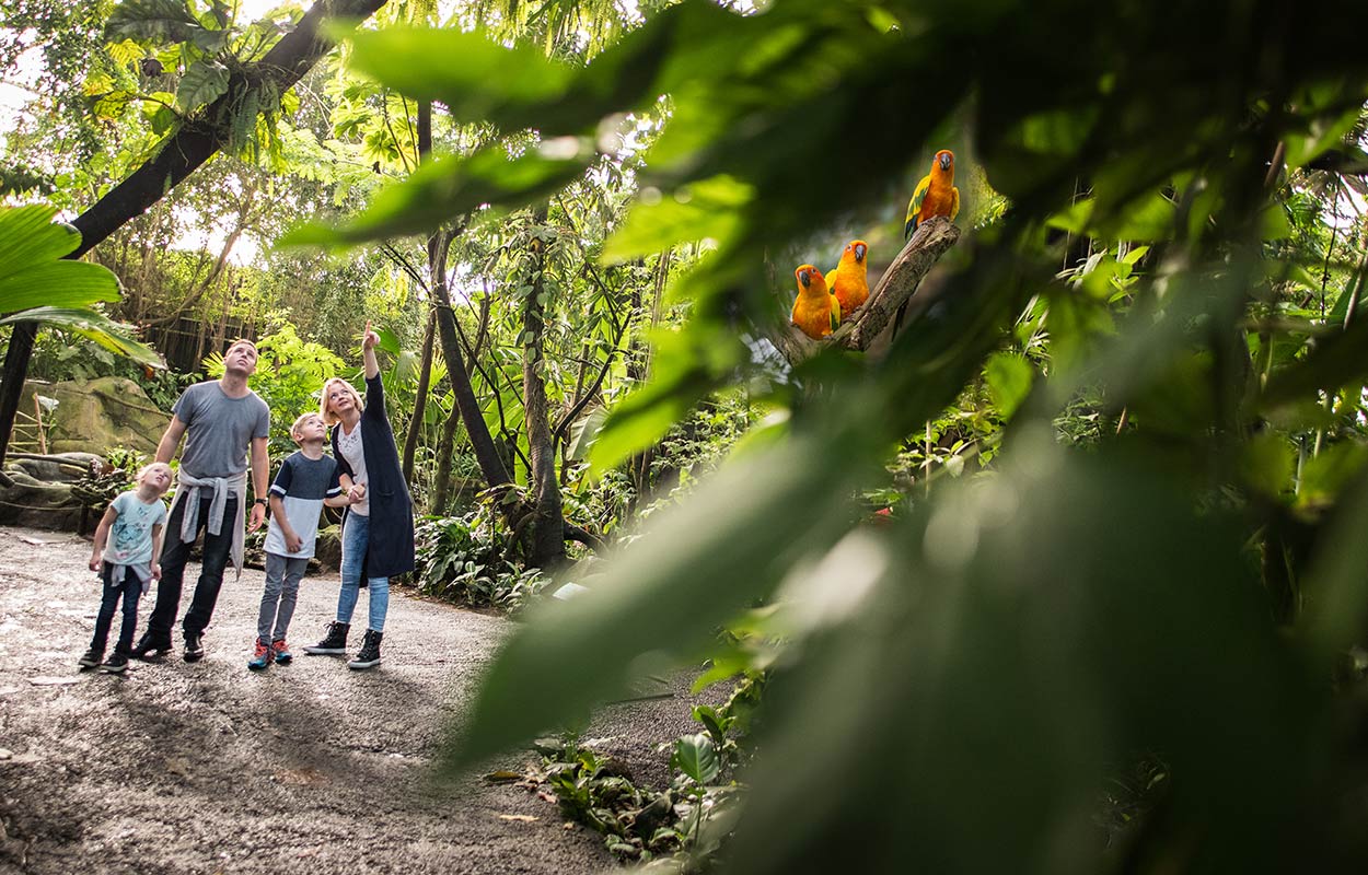 Family in Randers Regnskov