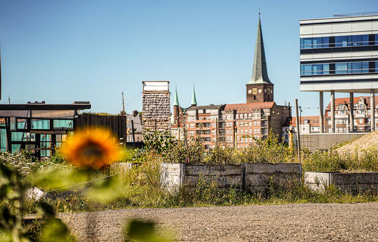 Pier 2 Garden in Aarhus