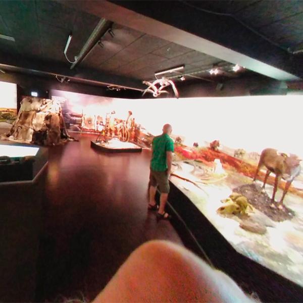 Virtuel rundtur på Naturhistorisk Museum i Aarhus