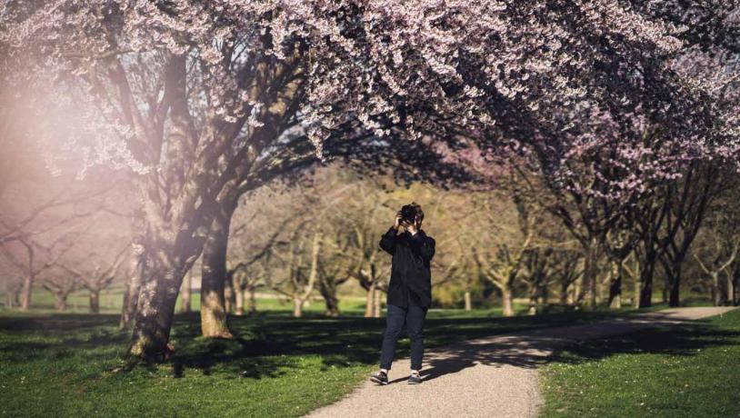 Forår i naturen, Aarhus